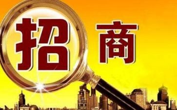 以商招商工作总结参考8篇