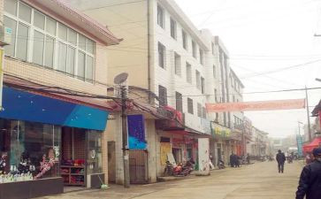 镇采购办工作总结6篇