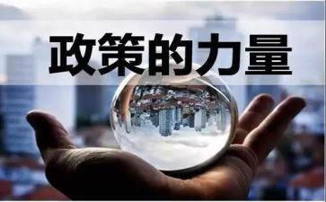 教育与政策学习心得体会8篇