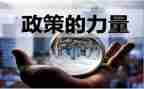 教育与政策学习心得体会8篇