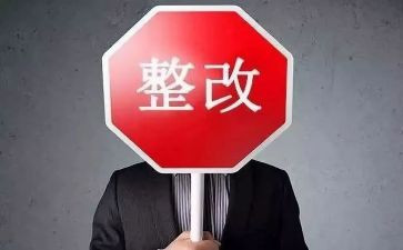 镇整改个人心得体会8篇