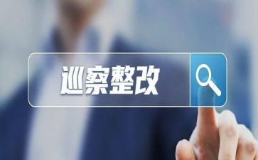 县委巡察整改个人对照材料8篇