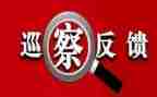 巡视整改专题生活会班子对照材料8篇