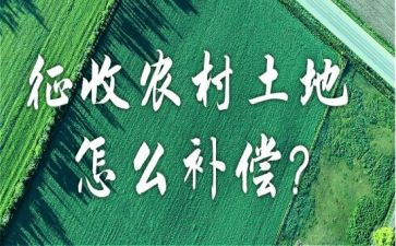 统征收储工作总结8篇