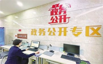 政务公开法工作总结6篇