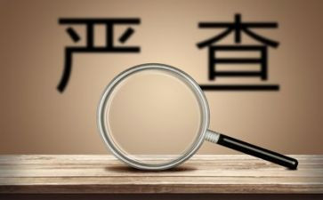 两整治心得体会8篇