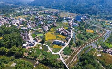 全面振兴乡村心得8篇
