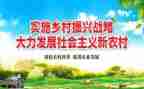 法学生乡村振兴心得体会8篇