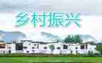 推进乡村振兴工作报告6篇