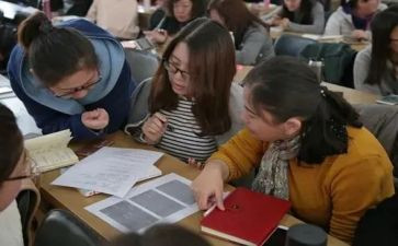 指导组工作总结精选8篇