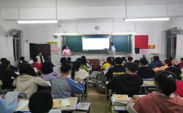 指导教师指导工作总结精选8篇