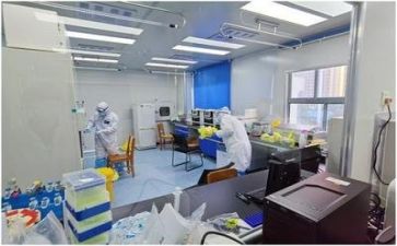 年度质量报告工作计划7篇
