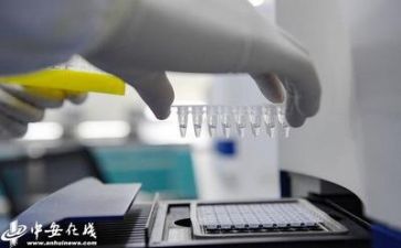 质量日总结报告6篇