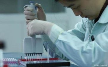 质量的工作报告5篇