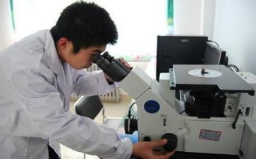 质量部年度工作总结6篇