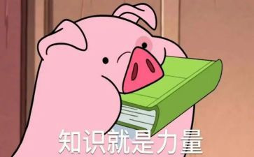 保育知识心得体会8篇