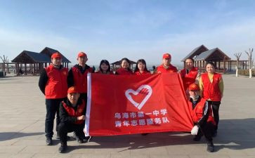 2024年志愿者活动方案模板8篇