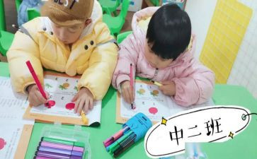 幼儿中班的工作总结通用5篇