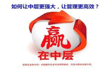 中层半年度述职报告6篇