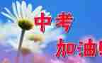 关于中考作文800字5篇
