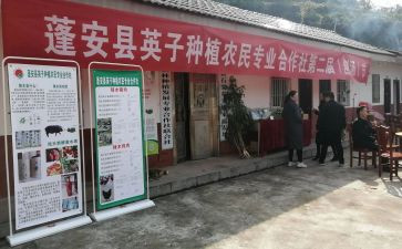 专合社入社申请书5篇