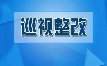 抓整改工作报告优质5篇