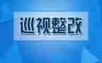 抓整改工作报告优质5篇