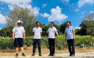 驻村工作半年工作报告5篇