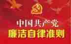 党内政治若干准则心得体会推荐7篇