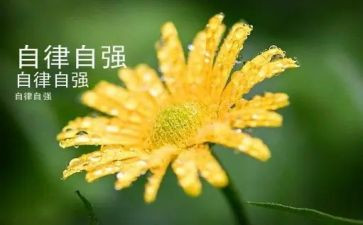 自强之星个人事迹200优秀7篇