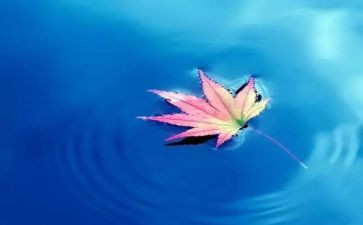 大自然灾害的心得体会6篇
