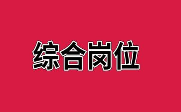 综合岗工作总结范文最新8篇