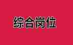 综合岗工作报告7篇