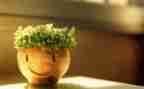 做自己作文600字优秀8篇